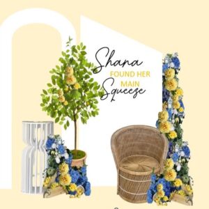 She found Main Squeeze Set